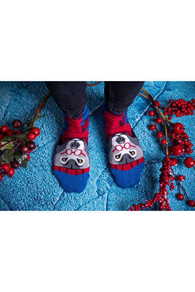 Pirin Hill Sosete bambus de craciun Comfort Feet Socks CHRISTMAS WOLF