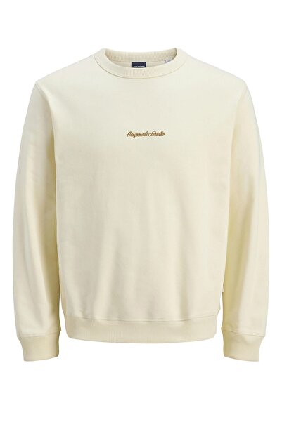 Jack & Jones Ανδρικό φούτερ Jornorrebro