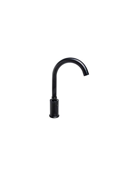 Trendy's Kitchen faucet with matte black sensor