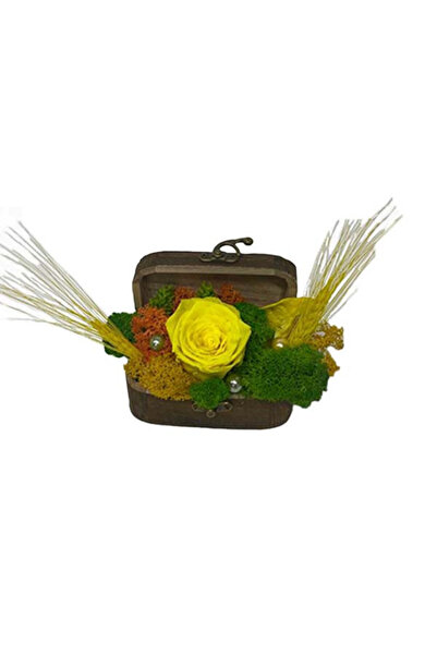 velve Aranjament floral cu trandafir criogenat, in cutie cufar din lemn, galb...