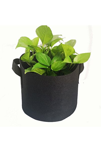 DacEnergy Ghiveci din pasla netesuta , pentru plante de gradina, legume, flor...