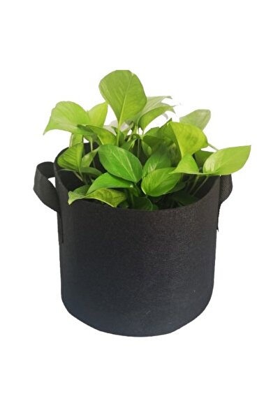 DacEnergy Ghiveci din pasla netesuta , pentru plante de gradina, legume, flor...