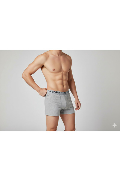 FAMESTEKSTİL Men's Gray Boxer 5 Pieces
