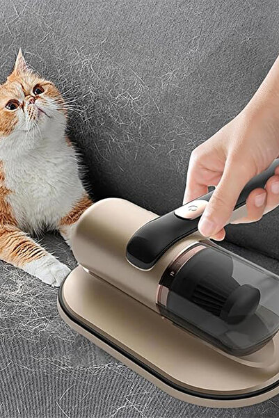 woodhub Kablosuz el süpürgesi, altın renk, kedi ve köpek tüyü detaylı, güçlü ...