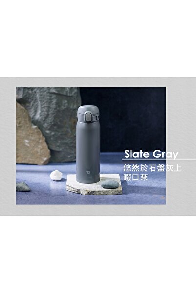 Other ZOJIRUSHI thermal mug SM-WR48E-HP 480 ml gray