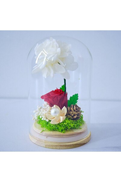velve Aranjament floral in cupola de sticla cu trandafir si hortensie criogen...