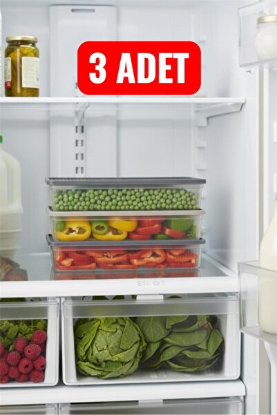 Bayev 3 Pieces Freshbox 2 Liter Refrigerator Storage Container - Freezer Ice Box Container with Lid