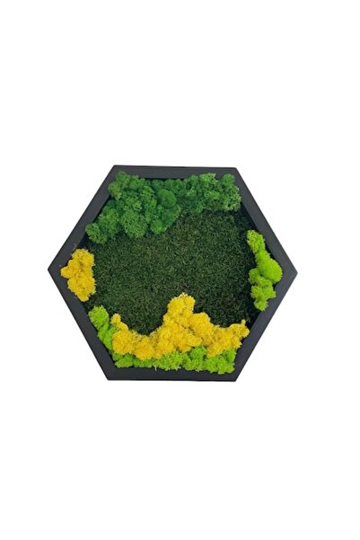 ALVAL Pictură hexagonală decorată cu mușchi stabilizat și licheni, ramă de 30...