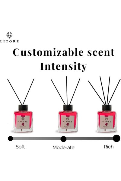litore Bubblegum Reed Diffuser, Best Aromatherapy Perfume, Oil & Reed Diffuser Sticks- 100 ml