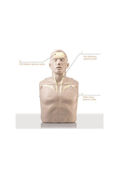 EgeAnatomi Maketleri Brayden CPR Eğitim Mankeni Led Işıklı