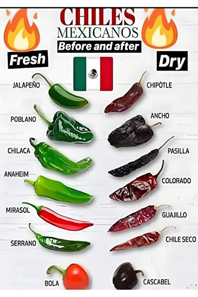 TELLGRAF ملصق بتصميم الفلفل (21x31 سم)