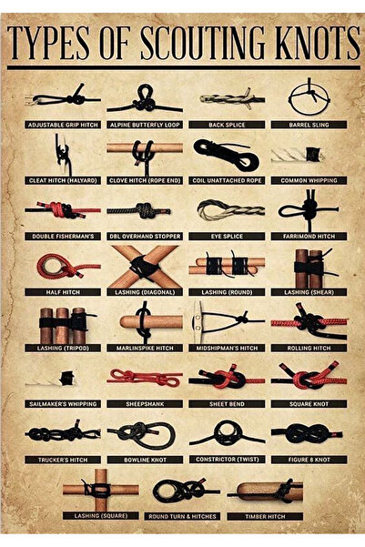 TELLGRAF ملصق ذو طابع العقد (21 × 30 سم)