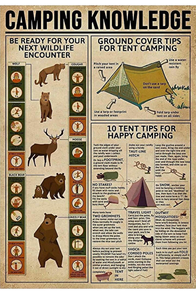 TELLGRAF ملصق بتصميم التخييم (21×31 سم)