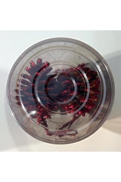 ART PINE Viral Asetat Kutuda 4 lü Renkli Simli Doğal Kozalak- Sparkle Işıltılı Natural Yılbaşı Süsü- Hobi