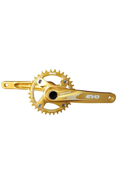 Evo Hallowtech Aynakol 34 Dişli - Gold