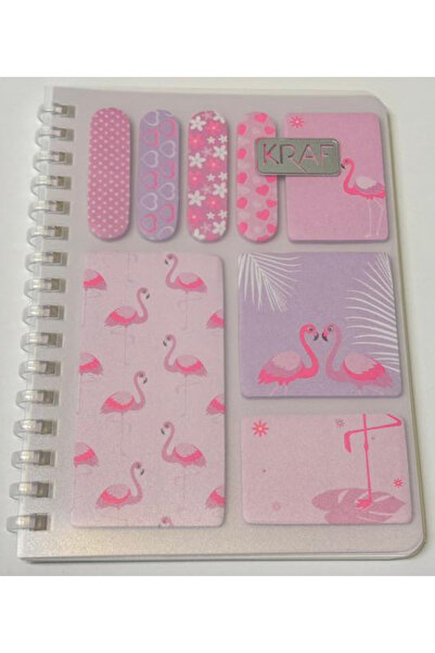 KRAF دفتر ملاحظات حلزوني A6 + فهرس (بولي بروبيلين) + مجموعة أوراق ملاحظات لاصقة بتصميم فلامنغو