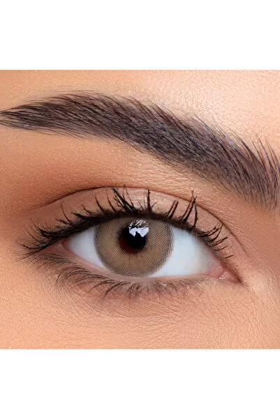 LensMe لنس مي عدسات لاصقه - كورتادو -2.5--Lensme-Contact Lenses-Cortado