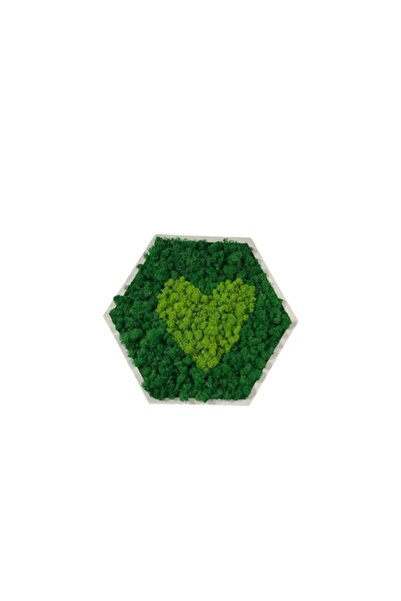 ALVAL Cadru hexagonal cu mușchi stabilizat, verde