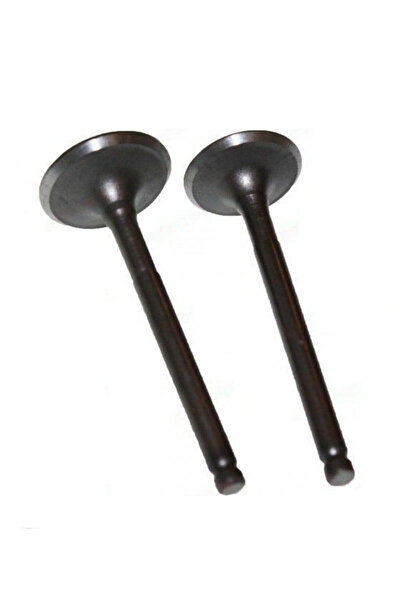 China Supape pentru ATV de 70cc