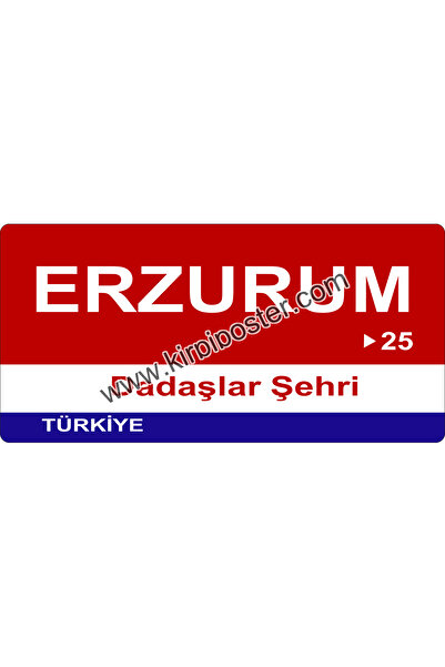 kirpi poster Ahşap Magnet Şehir-İl Plakalı Magnet-06x09cm - Erzurum-25