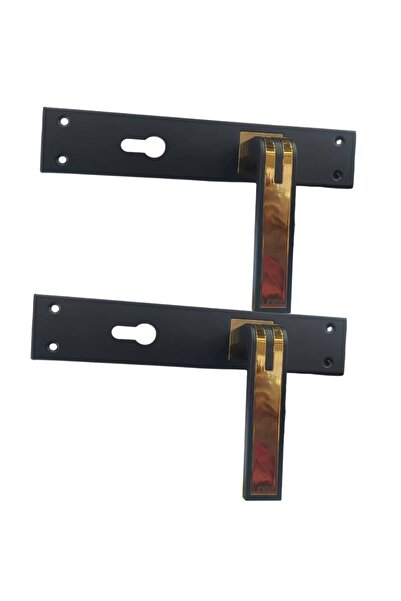 The comprehensive house يد باب