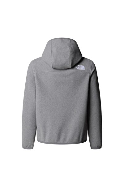 THE NORTH FACE Teen Glacıer 1/4 Fermuarlı Genç Çocuk Glacier Polar NF0A8CVFCQI1 Gri-L