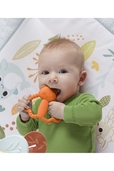 mattel Teething Toy for Babies Orange Beetle