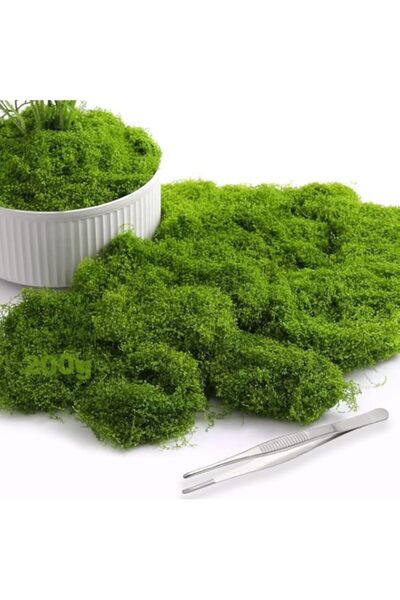 Generic 200g Artificial Moss for Crafts,Lifelike Green Fake grass for Potted ...
