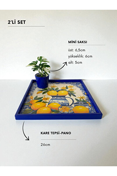 unique florya Σετ Ζευγάρι Ευφάνταστων Εσπεριδοειδών – Τετράγωνος Δίσκος & Μίν...