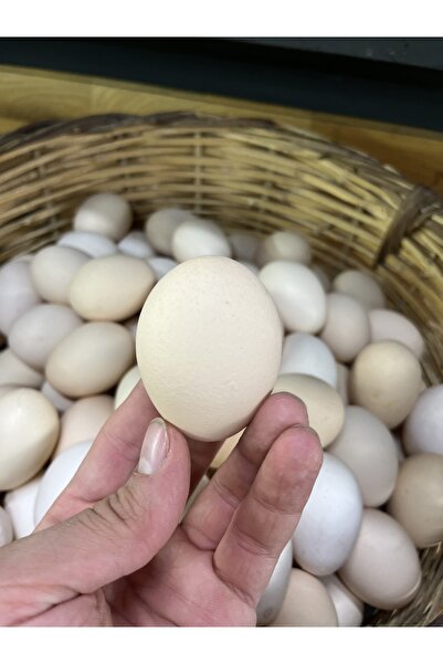 yiğitbey mandıra YUMURTA DOĞAL KÖY LEZZETİ YUMURTA 30 adet