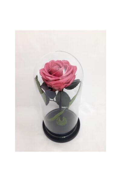 OEM Premium Cherry Blossom Preserved Rose in Glass Dome