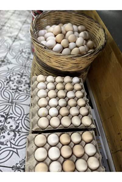 yiğitbey mandıra YUMURTA DOĞAL KÖY LEZZETİ YUMURTA 30 adet