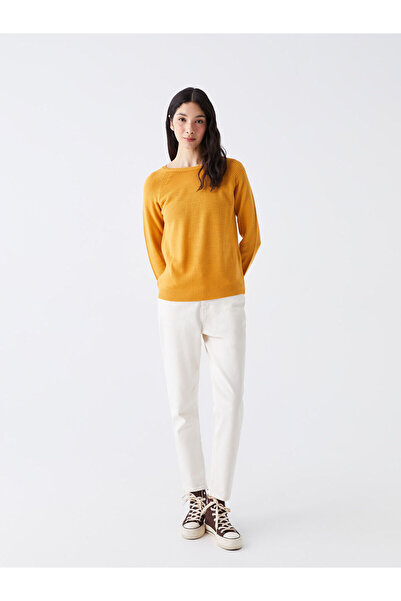 LC Waikiki Bisiklet Yaka Kendinden Desenli Uzun Kollu Kadın Triko Kazak