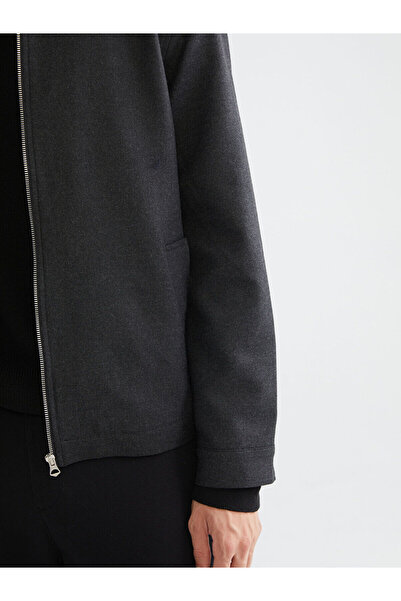 LC Waikiki Dik Yaka Uzun Kollu Erkek Mont