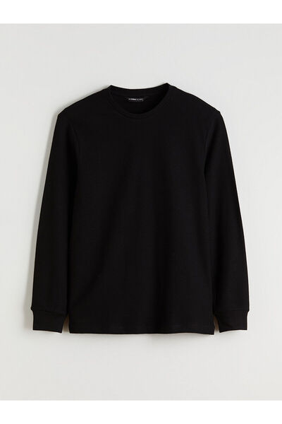 LC Waikiki New Season Crew Neck Long Sleeve Men's T-Shirt