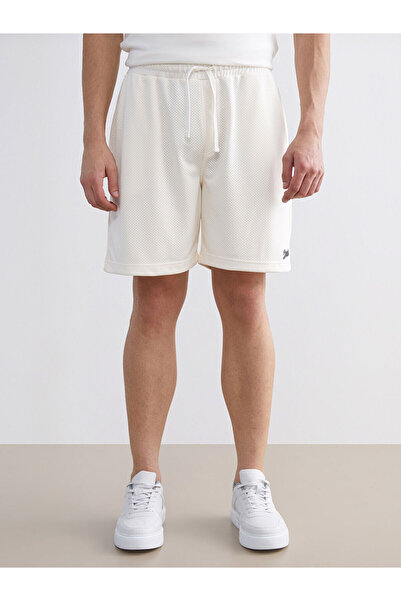 LC Waikiki Vizyon New Season Comfortable Fit Men's Shorts