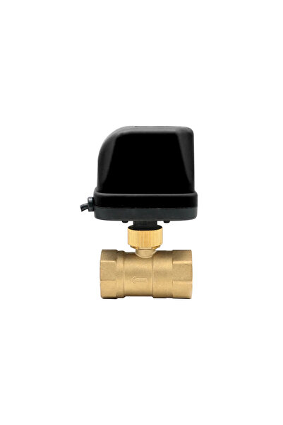 Ibo Dambat Electrovalvă cu bilă VT DN25 - 1” 230V, IB330034