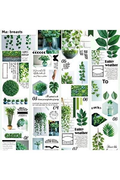İthal H3-2m folie verde pentru animale de companie
