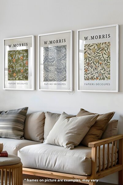 Basquiart Set de 3 postere cu ramă albă Morris, set de picturi nr. 5