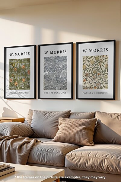Basquiart Set de 3 postere cu ramă neagră Morris, set de picturi nr:5