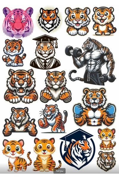 Reysa Tasarım Tiger Sticker Set 2 - New Design