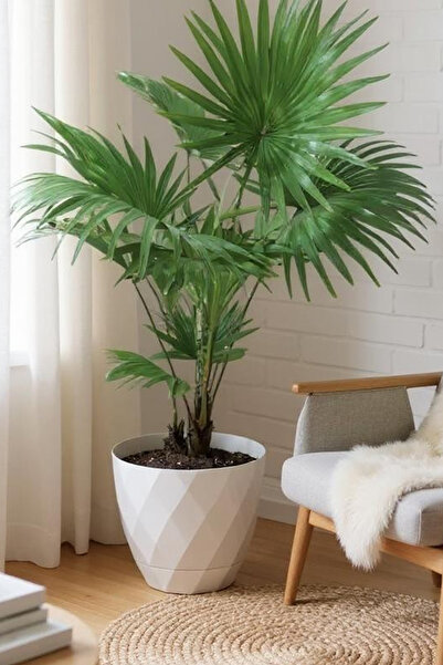 TEMMUZ HOME 15 Litre Dekoratif Prizma Desenli Büyük Boy Tabaklı Plastik Saksı Yakamoz No6 32,5cm 28,5cm