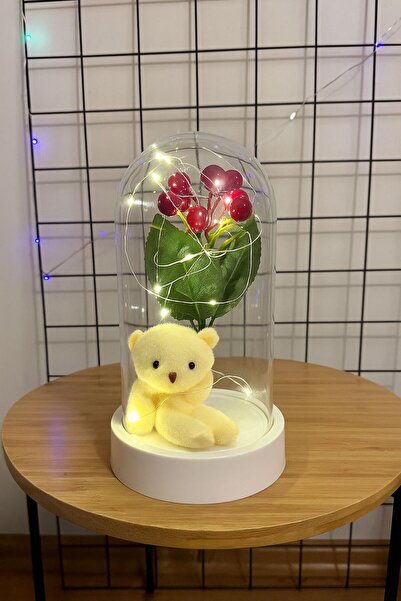 etxShop Yılbaşı Temalı Kokina Çiçekli Led Işıklı Sevgiliye Hediye Ayıcık Fanu...