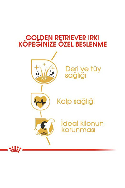 Royal Canin Golden Retriever Yetişkin Kuru Köpek Maması 12kg