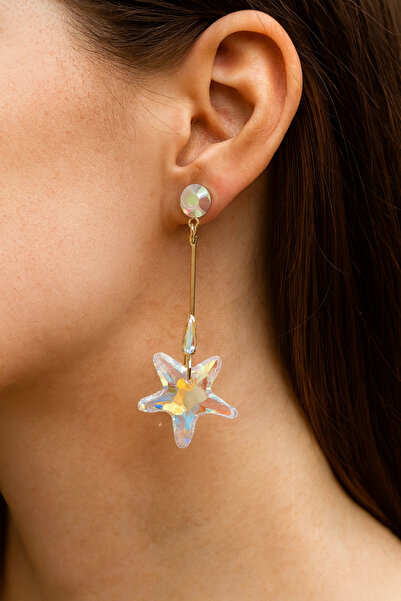 Leo'Stone Vip Series Dangle Zircon Stone Star Design Women's Steel Earrings