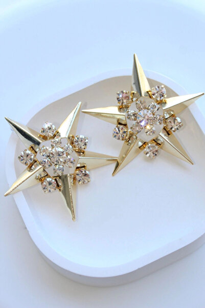 Leo'Stone Big Star Design Full Zircon Stone Women's Evening Dress Steel Earrings