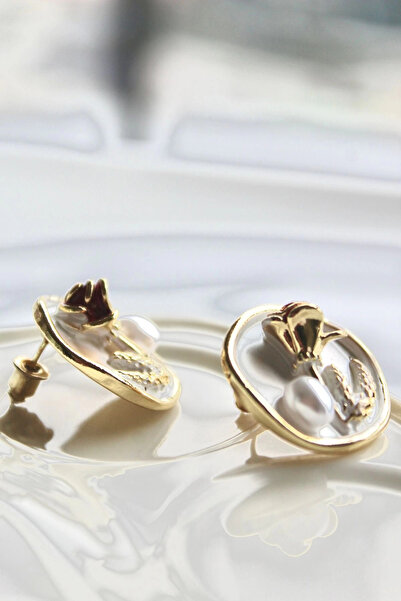 Leo'Stone Vintage Kırmızı Gül Motifli 3d Tablo Tasarım Kadın Çelik Küpe