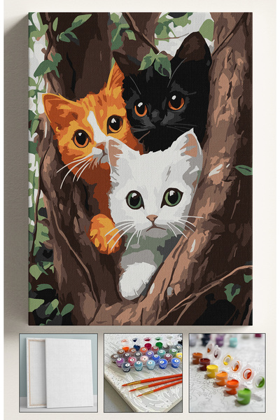 Genel Markalar Sayılarla Boyama Seti Numaralı Tuval Fırça Boya 40x50 Cm - AĞA...