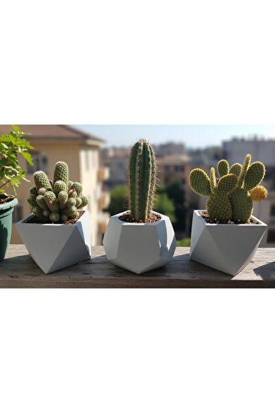 SEMY STORE 3 lü Dekoratif Saksı Set, Biblo, Obje, Tasarım, Süs, Ev Dekorasyon