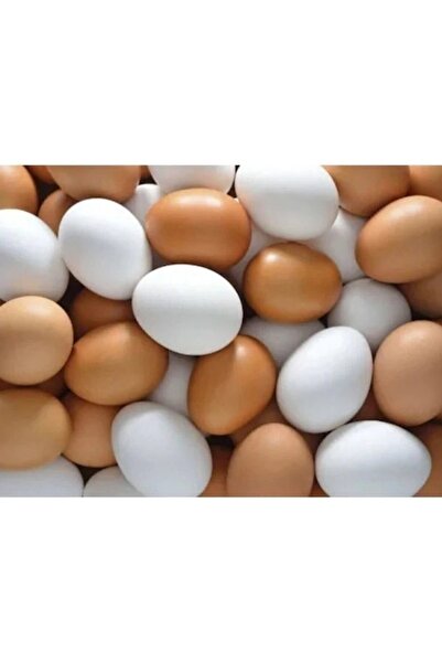 usmtekno 20 Adet Pvc Tavuk Yumurtası Tavuk Folluk Yapay Yumurta Pilastik Tavuk Yumurta Kuluçkayumurtası